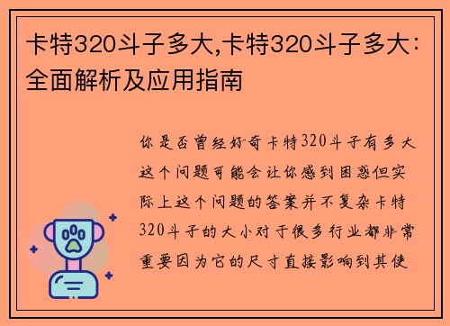 卡特320斗子多大,卡特320斗子多大：全面解析及应用指南